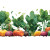 Growing Vegetables Vinyl Car Decal Sticker – Waterproof & UV-Resistant 3.4133333333333336"