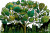 Abundance Tree Vinyl Car Decal Sticker – Waterproof & UV-Resistant 2.986666666666667"