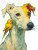 Whimsical Greyhound Painting Vinyl Car Decal Sticker – Waterproof & UV-Resistant 4.1066666666666665"