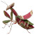Ninja Mantis Vinyl Car Decal Sticker – Waterproof & UV-Resistant 3.4133333333333336"