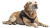 Elderly Labrador Retriever Vinyl Car Decal Sticker – Waterproof & UV-Resistant 5.4