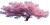Cherry Blossom Spring Vinyl Car Decal Sticker – Waterproof & UV-Resistant 2.56"