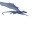 Prismatic Dragon Vinyl Car Decal Sticker – Waterproof & UV-Resistant 2.986666666666667"