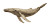 Humpback Whale Art Vinyl Car Decal Sticker – Waterproof & UV-Resistant 5.4