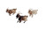 Running Goats Vinyl Car Decal Sticker – Waterproof & UV-Resistant 5.97333333333333