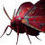 Crimson Moth Vinyl Car Decal Sticker – Waterproof & UV-Resistant 3.4133333333333336"