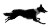 Running Border Collie V6 Vinyl Car Decal Sticker – Waterproof & UV-Resistant 2.72"