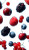 Floating Berries V2 Vinyl Car Decal Sticker – Waterproof & UV-Resistant 4.8533333333333335"