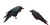 Dark Ravens Perched Vinyl Car Decal Sticker – Waterproof & UV-Resistant 2.56"