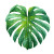 Monstera Leaf Illustration Vinyl Car Decal Sticker – Waterproof & UV-Resistant 3.4133333333333336"
