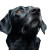 Friendly Black Dog Vinyl Car Decal Sticker – Waterproof & UV-Resistant 3.4133333333333336"