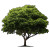 Green Tree Silhouette Vinyl Car Decal Sticker – Waterproof & UV-Resistant 6.826666666666667"