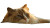 Majestic Ragdoll Cat V3 Vinyl Car Decal Sticker – Waterproof & UV-Resistant 2.72"