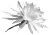 Epiphyllum Bloom Vinyl Car Decal Sticker – Waterproof & UV-Resistant 3.0