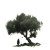 Contemplative Warrior V2 Vinyl Car Decal Sticker – Waterproof & UV-Resistant 3.4133333333333336"