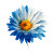Colorful Daisy Illustration Vinyl Car Decal Sticker – Waterproof & UV-Resistant 6.826666666666667"