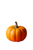 Pumpkin On Orange Vinyl Car Decal Sticker – Waterproof & UV-Resistant 8.96"