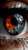 Generative Eyeballs Vinyl Car Decal Sticker – Waterproof & UV-Resistant 9.706666666666667"