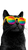 Rainbow Sunglasses Cat V2 Vinyl Car Decal Sticker – Waterproof & UV-Resistant 9.706666666666667"