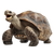 Giant Tortoise View Vinyl Car Decal Sticker – Waterproof & UV-Resistant 6.826666666666667"