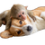 Corgi And Monkey Vinyl Car Decal Sticker – Waterproof & UV-Resistant 3.4133333333333336"