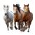 Running Horses V11 Vinyl Car Decal Sticker – Waterproof & UV-Resistant 3.4133333333333336"