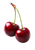 Two Cherries V3 Vinyl Car Decal Sticker – Waterproof & UV-Resistant 8.746666666666666"
