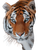 Tiger Wildlife Encounters Vinyl Car Decal Sticker – Waterproof & UV-Resistant 8.213333333333333"