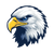 Bald Eagle Head V2 Vinyl Car Decal Sticker – Waterproof & UV-Resistant 6.826666666666667"