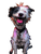 Funky Smiling Dog Vinyl Car Decal Sticker – Waterproof & UV-Resistant 8.213333333333333"