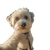 Dog Taking Selfie Vinyl Car Decal Sticker – Waterproof & UV-Resistant 3.4133333333333336"