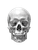 Realistic Skull V17 Vinyl Car Decal Sticker – Waterproof & UV-Resistant 8.213333333333333"