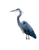 Majestic Blue Heron Vinyl Car Decal Sticker – Waterproof & UV-Resistant 4.16"