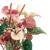 Anthurium Mafia Vinyl Car Decal Sticker – Waterproof & UV-Resistant 3.4133333333333336"