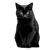 Black Cat V54 Vinyl Car Decal Sticker – Waterproof & UV-Resistant 3.4133333333333336"