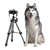 Happy Husky V3 Vinyl Car Decal Sticker – Waterproof & UV-Resistant 3.4133333333333336"