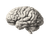 Human Brain Illustration V4 Vinyl Car Decal Sticker – Waterproof & UV-Resistant 3.3066666666666666"