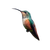 Beautiful Hummingbird V2 Vinyl Car Decal Sticker – Waterproof & UV-Resistant 3.4133333333333336"