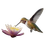 Hummingbird On Flower Vinyl Car Decal Sticker – Waterproof & UV-Resistant 6.826666666666667"