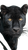 Black Panther Close-Up V6 Vinyl Car Decal Sticker – Waterproof & UV-Resistant 9.706666666666667"