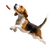 Eager Beagle Jumping Vinyl Car Decal Sticker – Waterproof & UV-Resistant 3.4133333333333336"