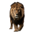 Majestic Lion Portrait V14 Vinyl Car Decal Sticker – Waterproof & UV-Resistant 3.4133333333333336"