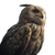 Mystical Owl V3 Vinyl Car Decal Sticker – Waterproof & UV-Resistant 3.4133333333333336"