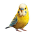 Cute Budgie Vinyl Car Decal Sticker – Waterproof & UV-Resistant 3.4133333333333336"