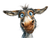 Confused Cartoon Donkey Vinyl Car Decal Sticker – Waterproof & UV-Resistant 6.1866666666666665"
