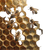 Golden Hive Bees Vinyl Car Decal Sticker – Waterproof & UV-Resistant 6.826666666666667"