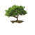 Hands Holding Tree Vinyl Car Decal Sticker – Waterproof & UV-Resistant 3.4133333333333336"