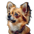 Chihuahua V2 Vinyl Car Decal Sticker – Waterproof & UV-Resistant 3.4133333333333336"
