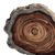 Tree Trunk Rings Vinyl Car Decal Sticker – Waterproof & UV-Resistant 6.826666666666667"