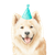 Cute Akita Dog Vinyl Car Decal Sticker – Waterproof & UV-Resistant 6.826666666666667"